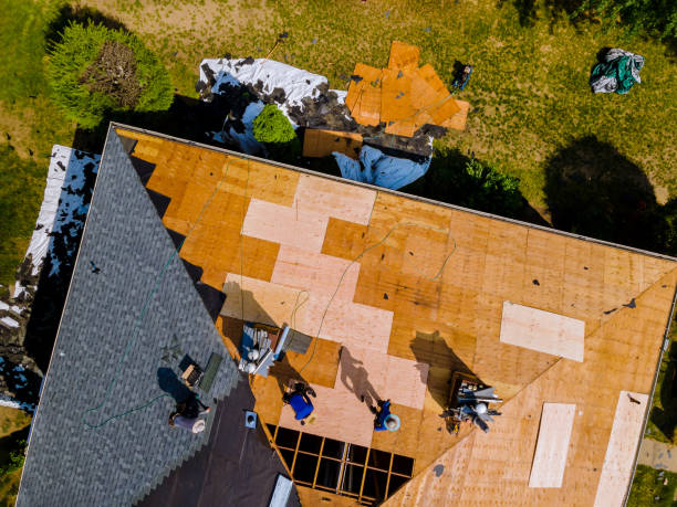Best Commercial Roofing Services  in Crisfield, MD