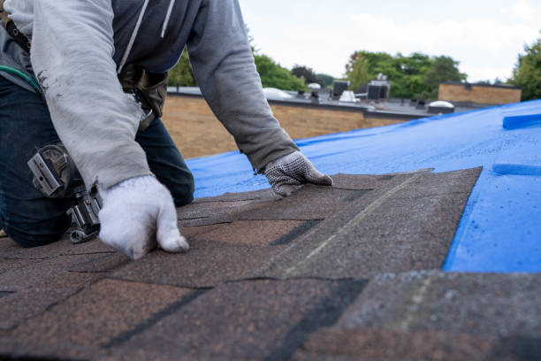 Best New Roof Installation  in Crisfield, MD