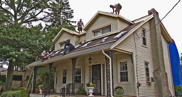 Best Metal Roofing Contractor  in Crisfield, MD