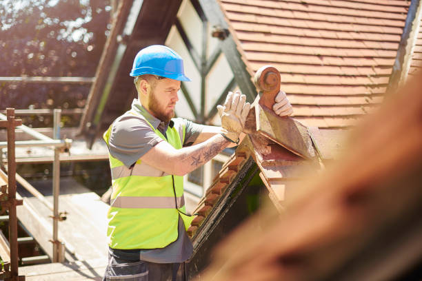 Best Roof Leak Repair  in Crisfield, MD