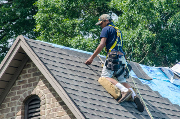 Best Flat Roof Repair Services  in Crisfield, MD